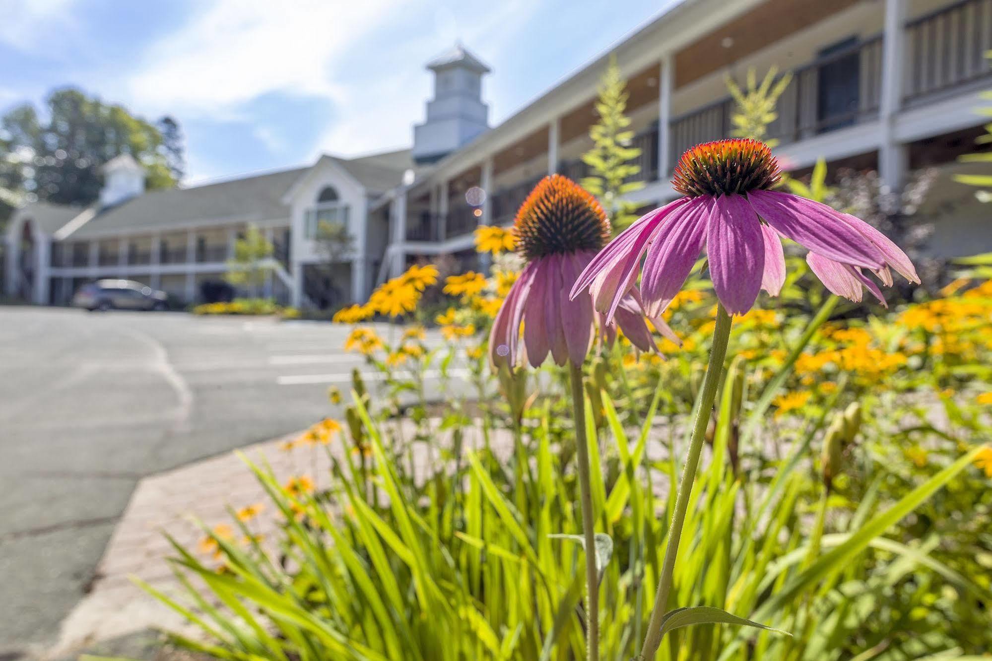 Fairbanks Inn Saint Johnsbury Exterior foto